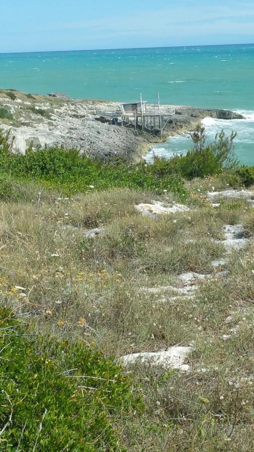 La Dimora Dei Pescatori Villa Vieste Ngoại thất bức ảnh